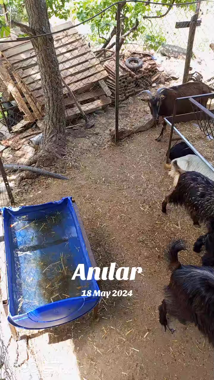 @karaman09