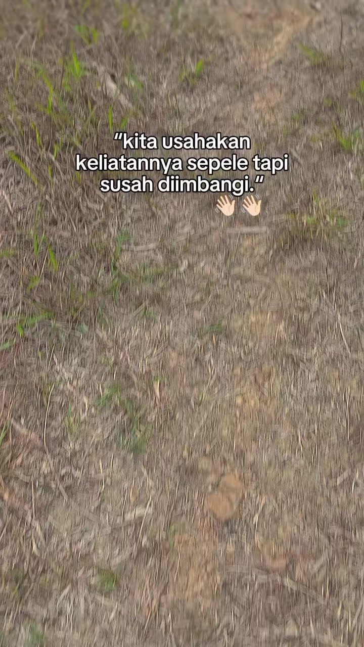 @Srindit kaltara 🦜