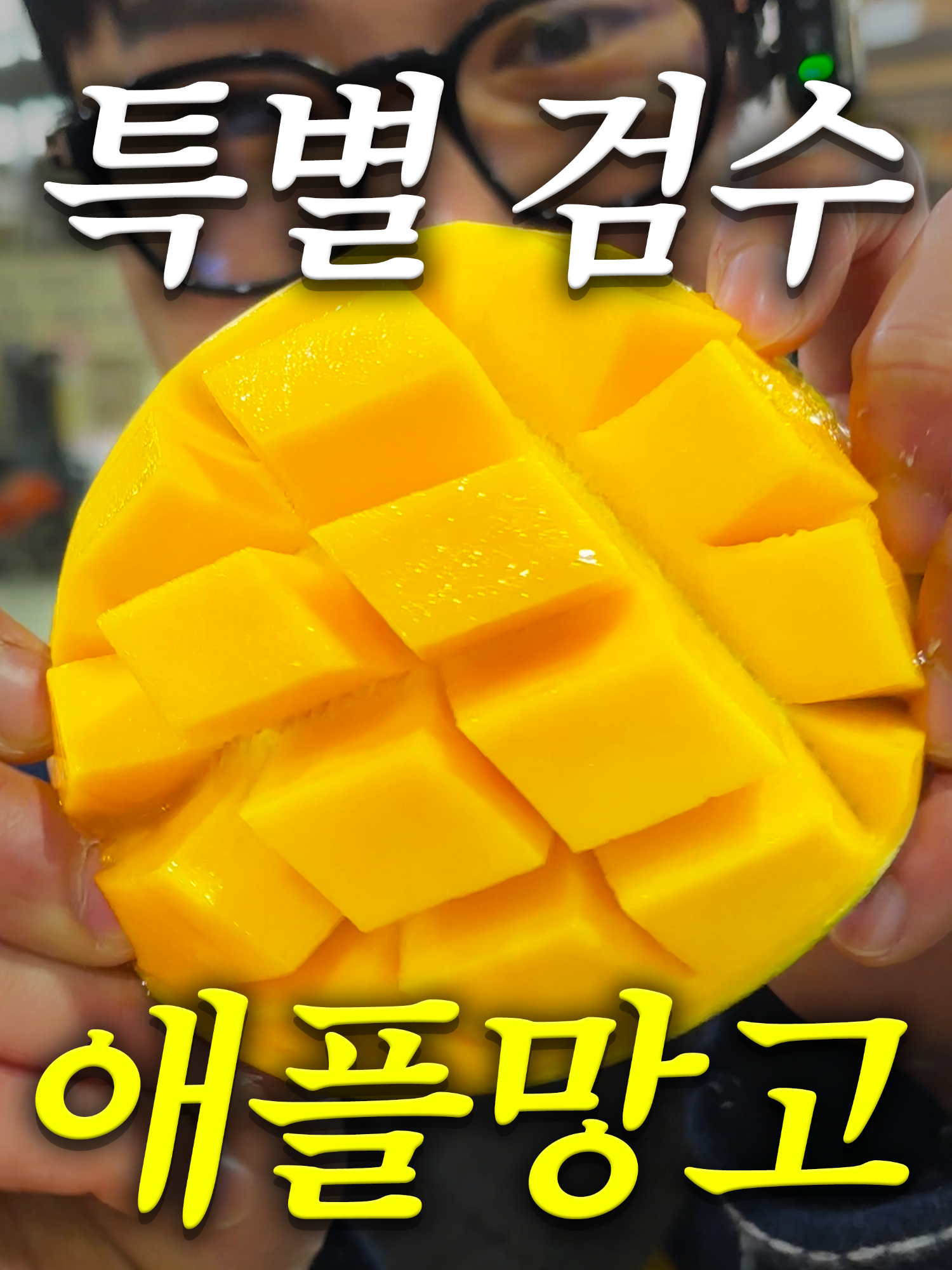 @해운대송사장