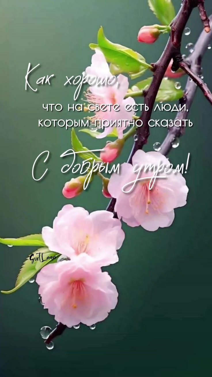 @Маргарита Шнейдерова