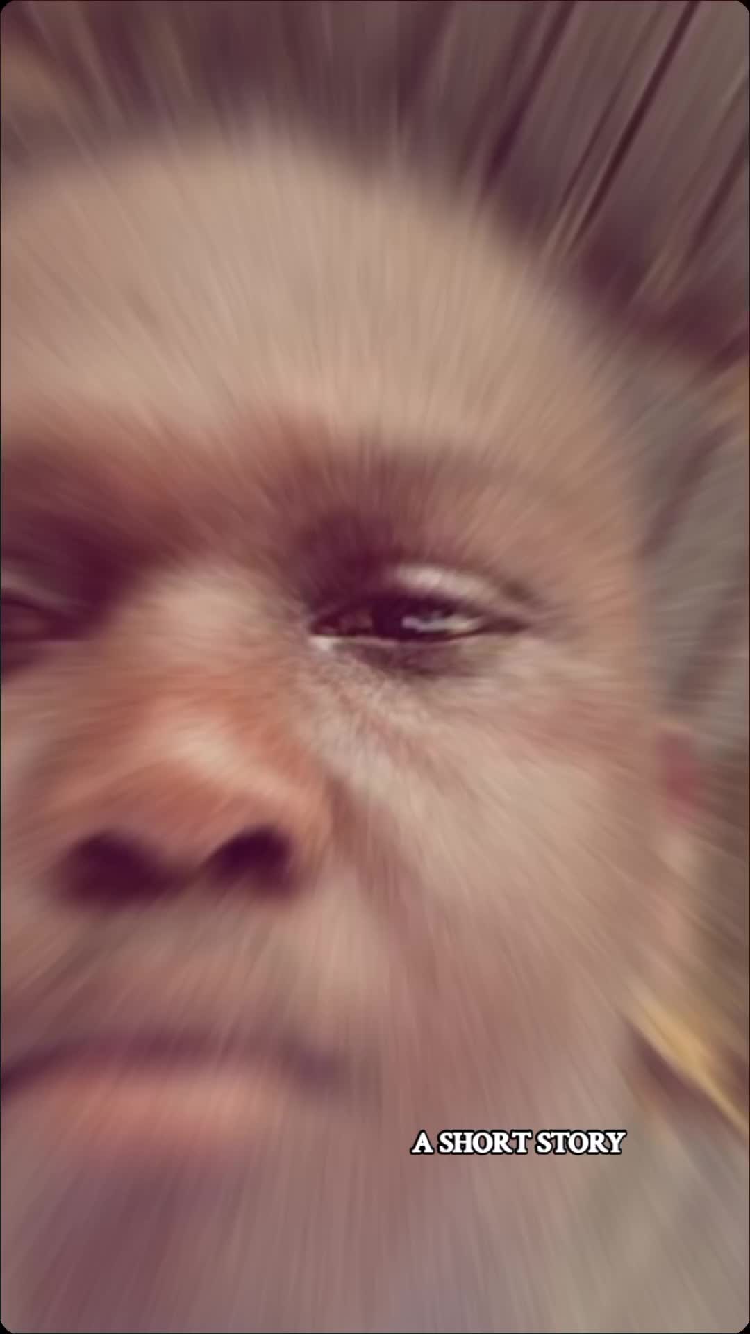 @📿OBO