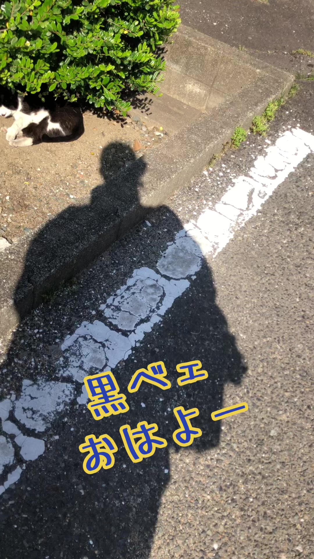 @miyuki._.2426