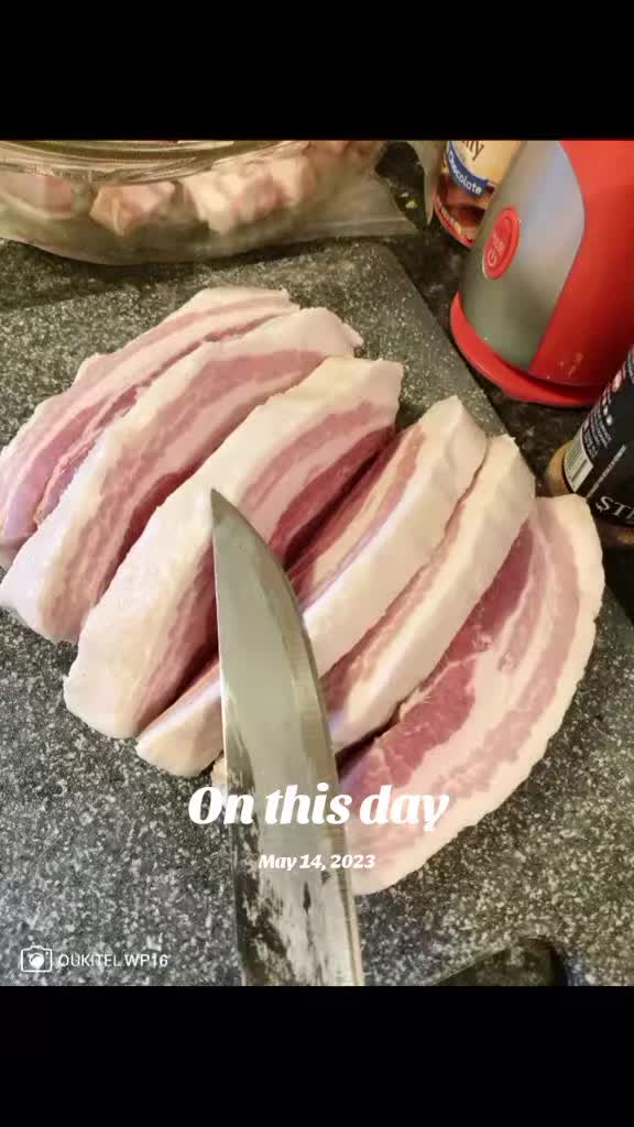 @NotJolene "The Terminator" 🦍