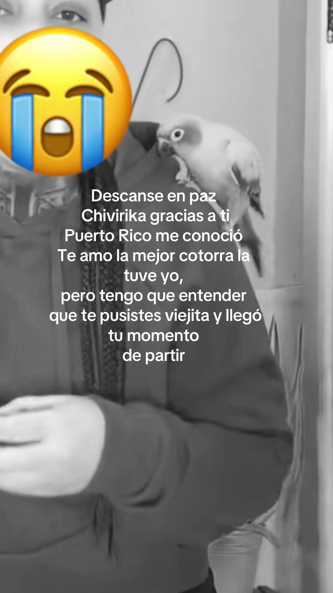 @Venus PR