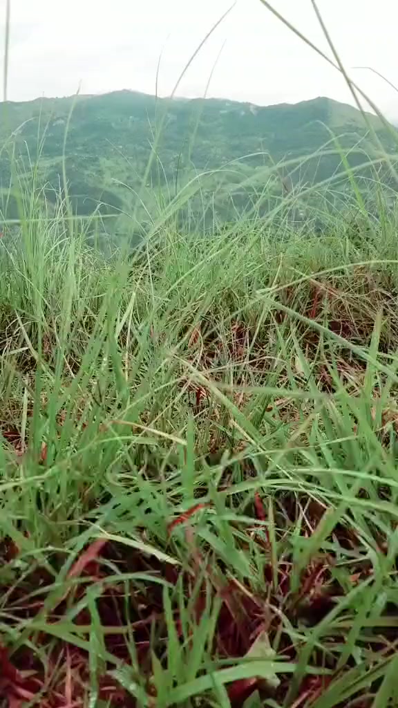 @ऋ...तु,,🌸