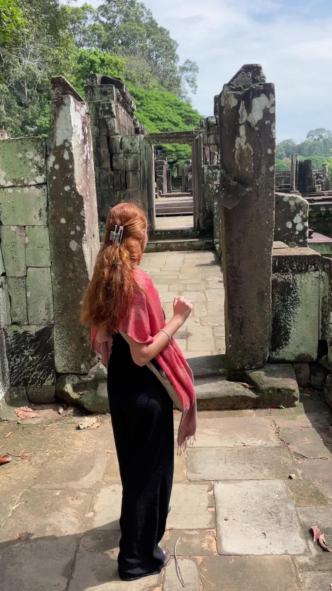 @Noa_saidon