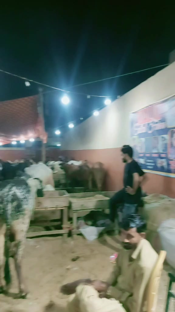 @malik saab
