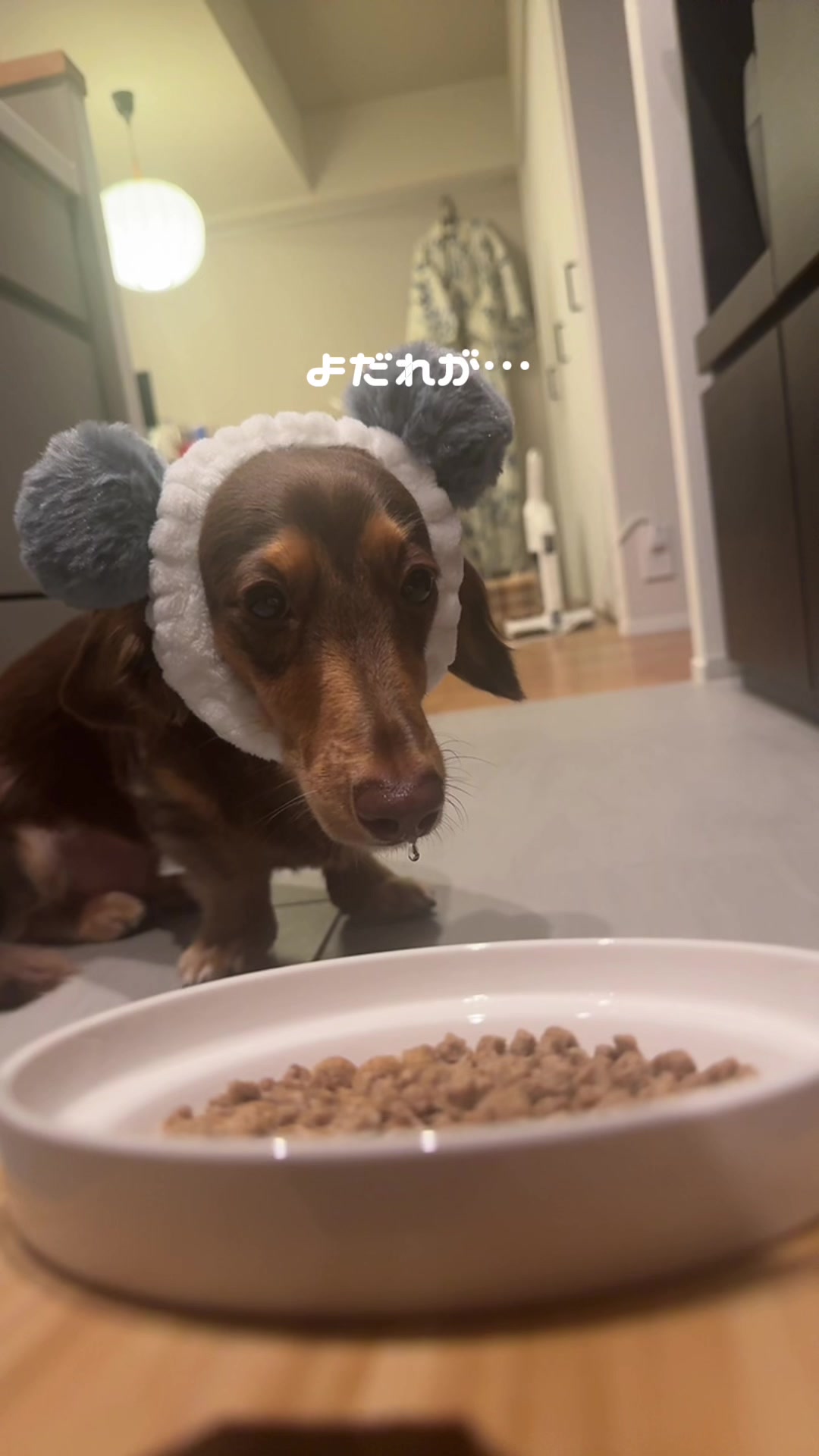 @ミニチュアダックスフンド_まろん