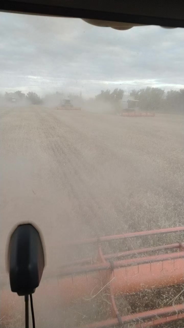 @🔝Просто СЕРГЕЙ 🎶🌾🌻🚜