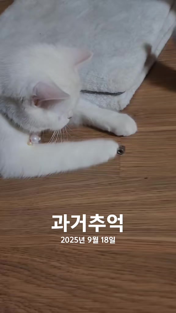 @박씨 거실