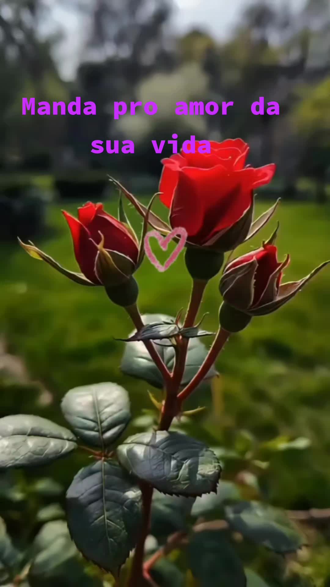 @Juliene Santos