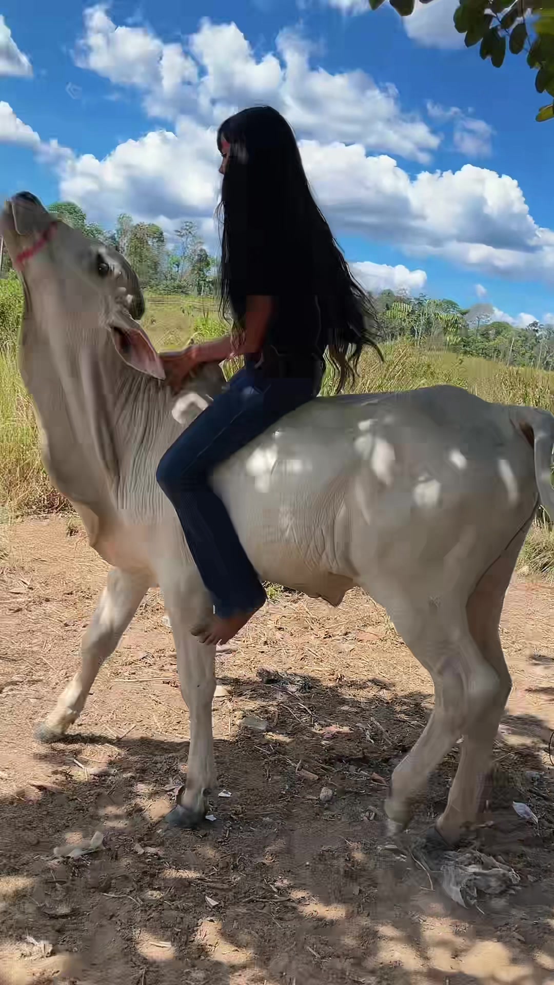 @🦋eloaterraoficial🦋