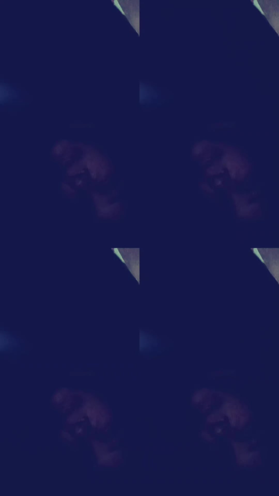 @Miriam Punzo villegas