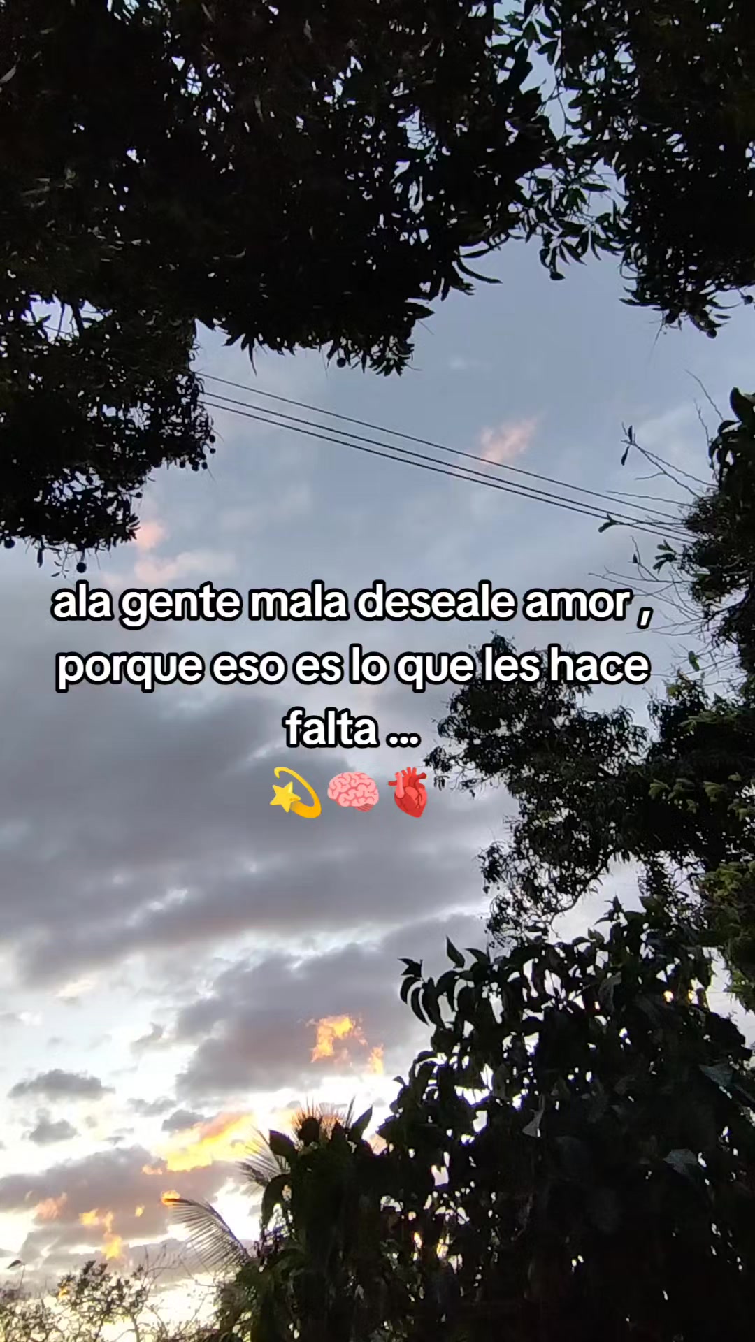 @🌟💫Estrellita⁴¹💫🌟