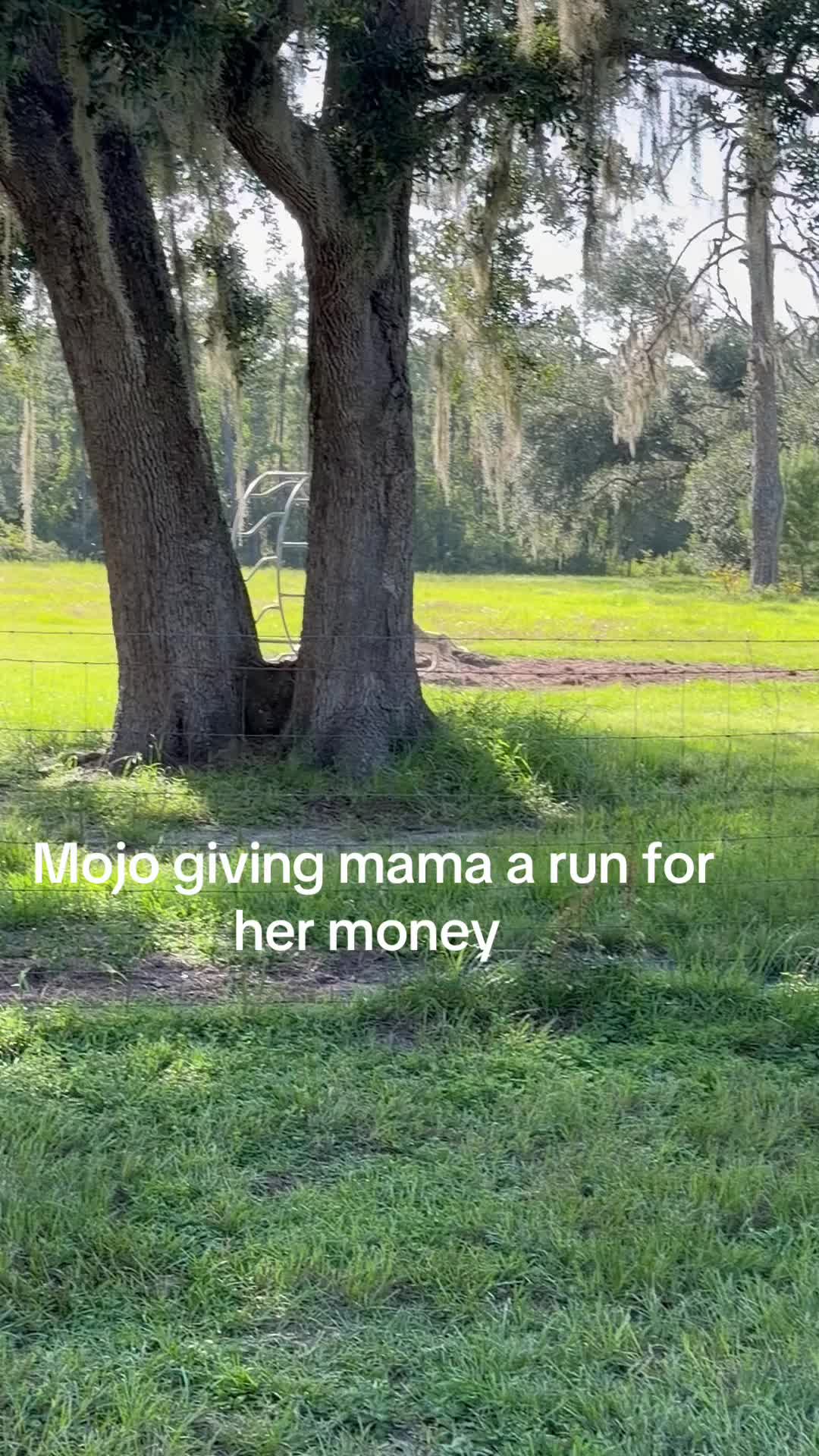 @Kelley Farms