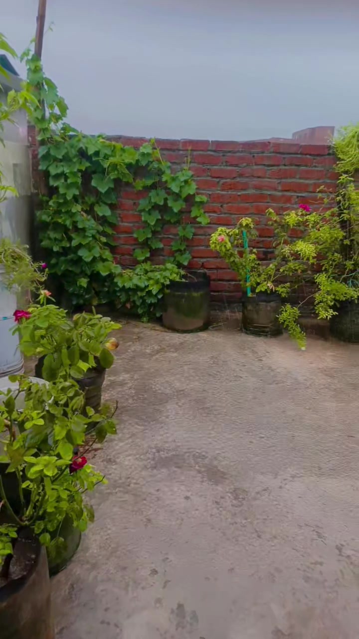 @🦋⃟🇲 ɑɧꀤ🦋⃟   ࿐