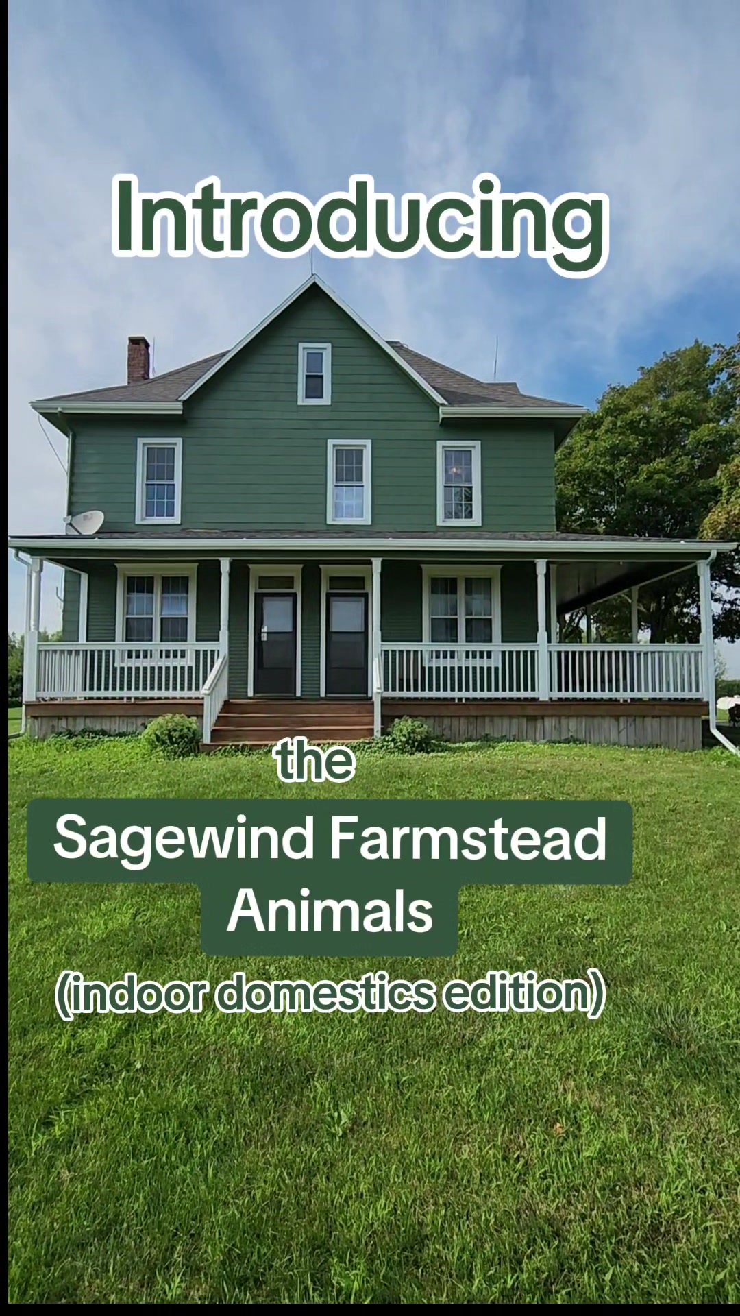 @Kayla | SageWind Farmstead