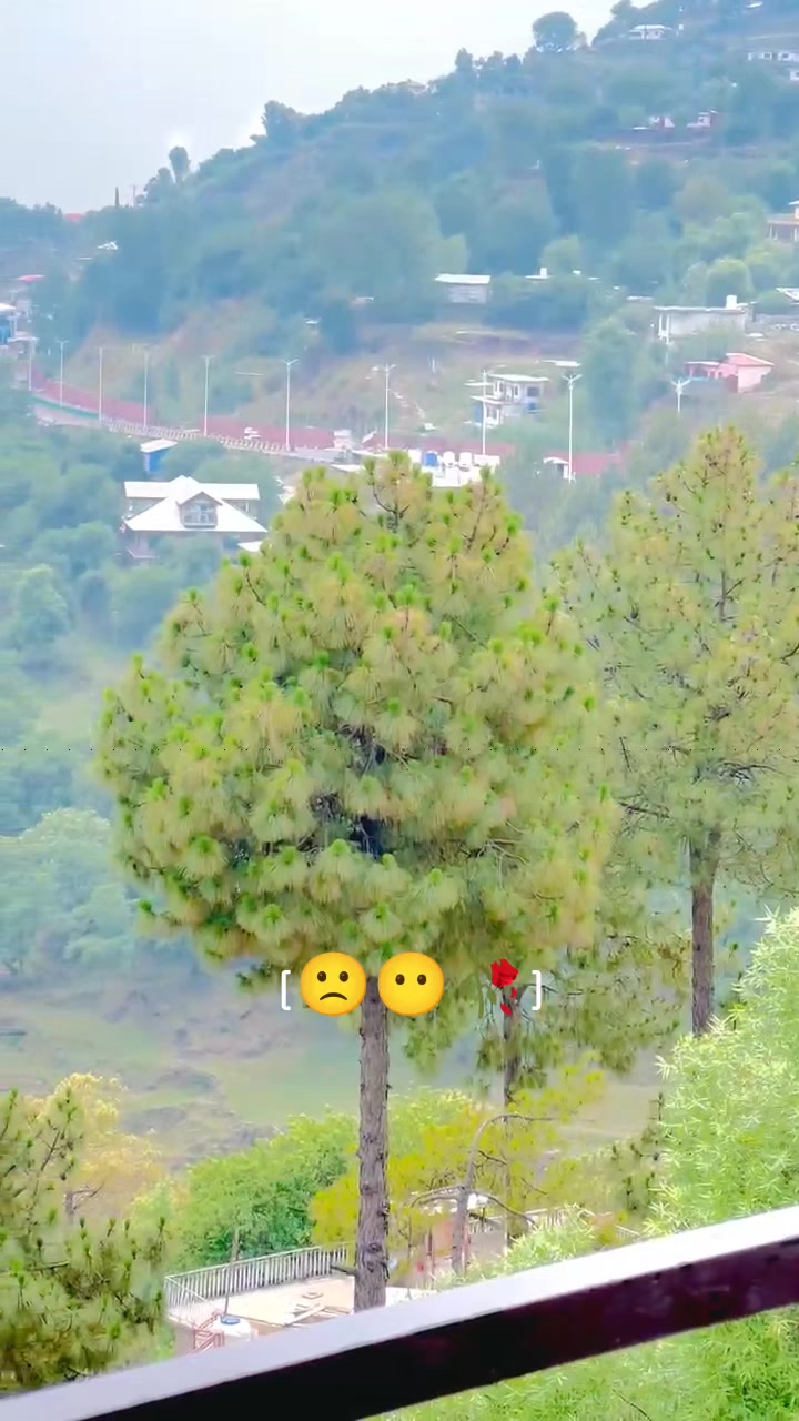 @𝔄𝔮𝔢𝔢𝔩 𝔍𝔞𝔣𝔯𝔦 ✅