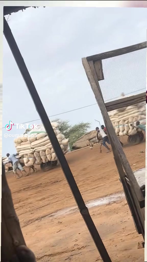 @ABOBKR.  🇸🇦
