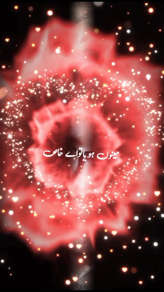 @alisheikh