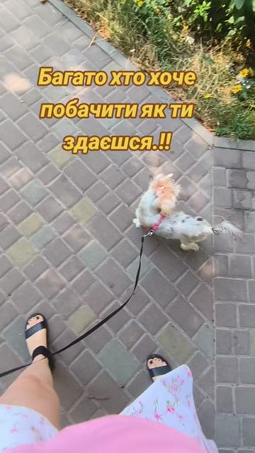 @Маришка Tarolog