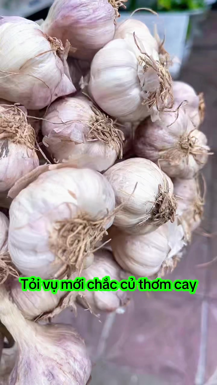 @nguyentuyet_79