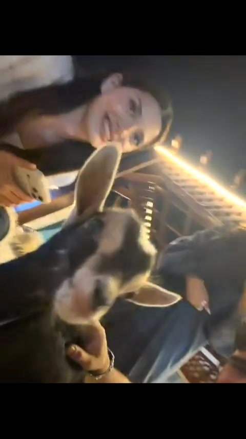 @𝐋𝐀𝐌𝐀𝐑