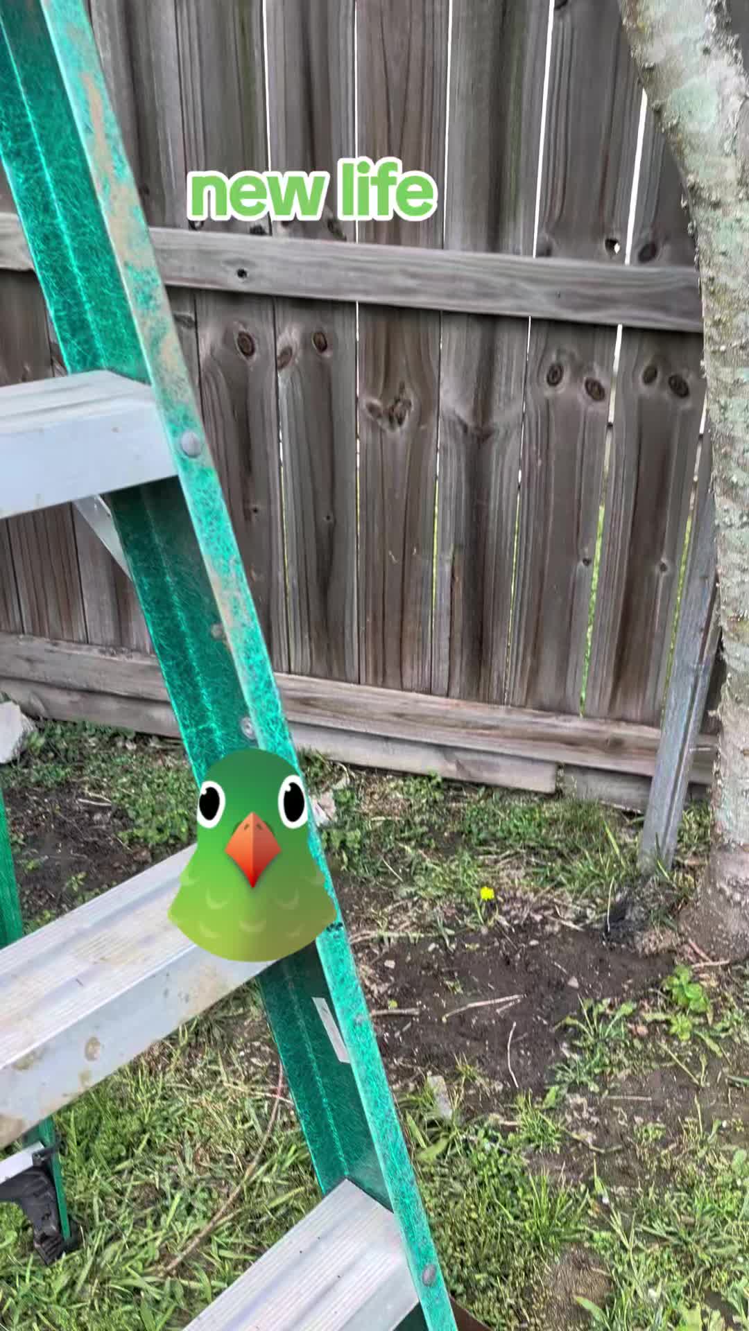 @Jplay