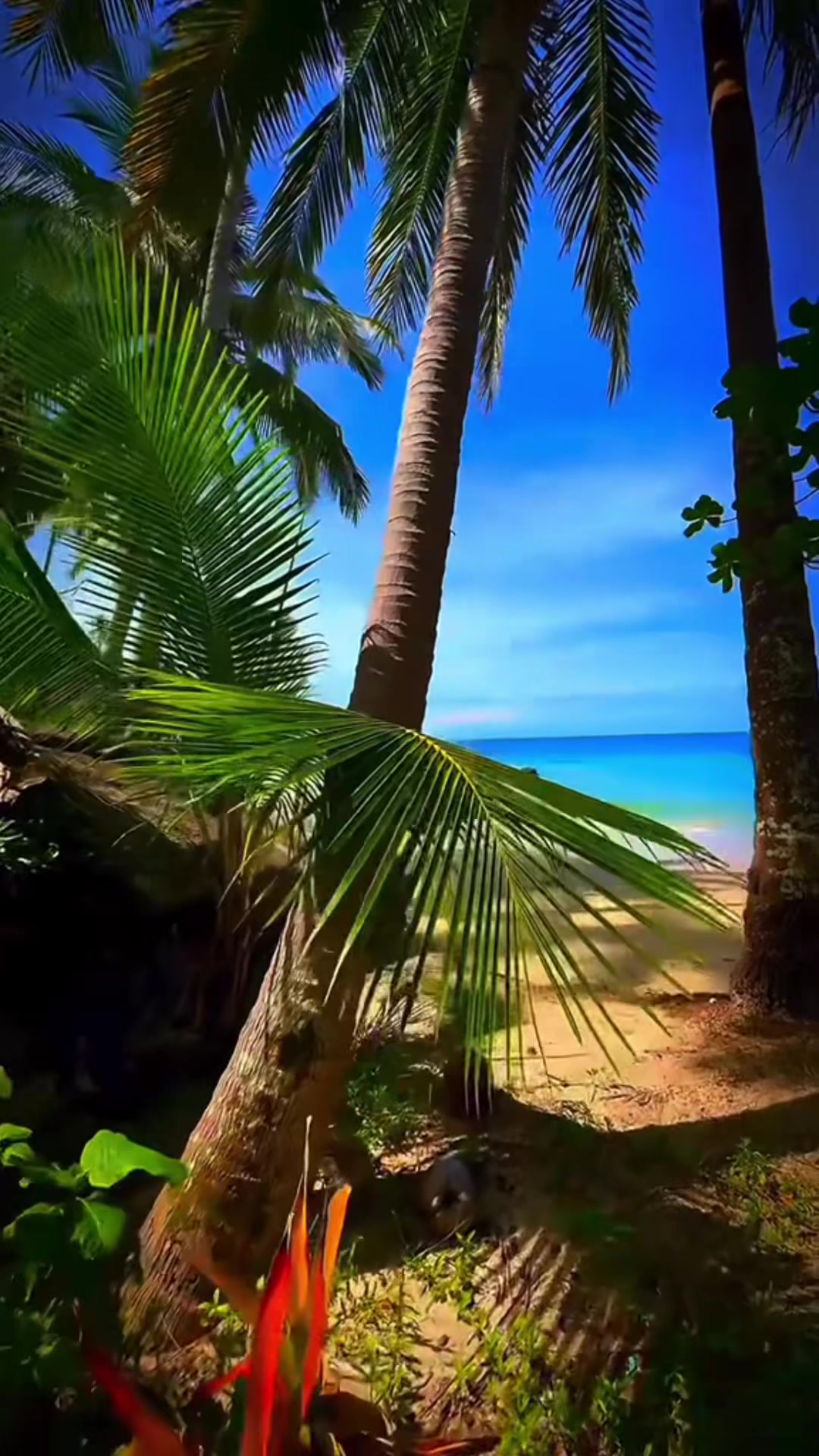 @Ķămłë§h