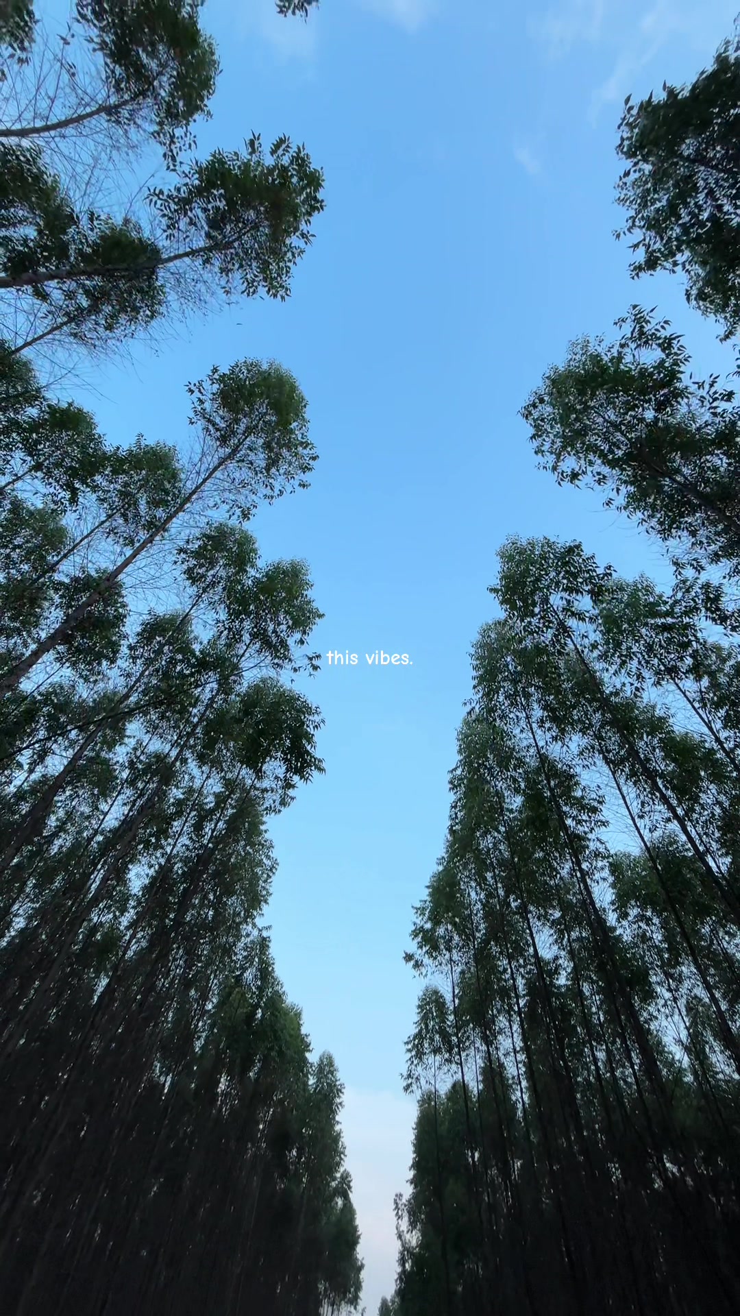 @zayn.