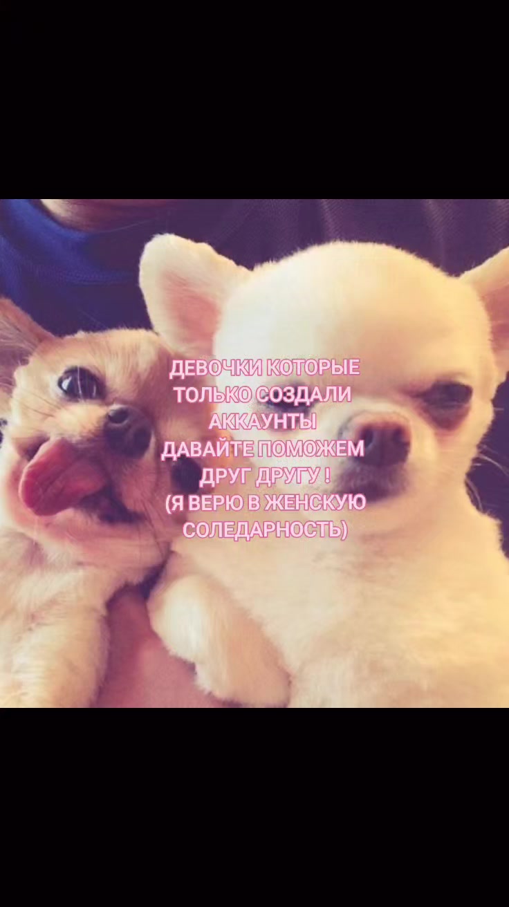 @Cat🐱