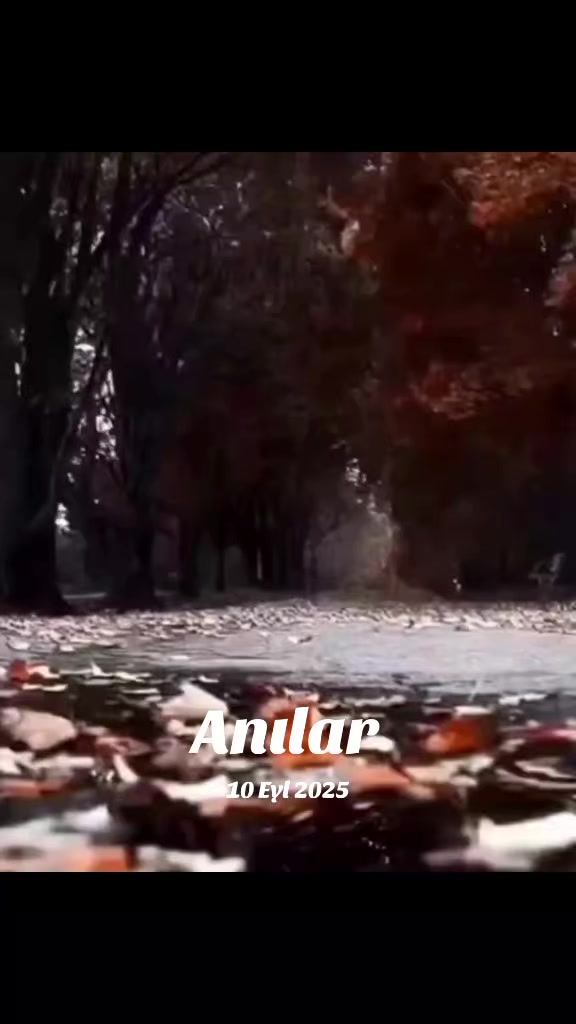 @Sevinc Azadlı