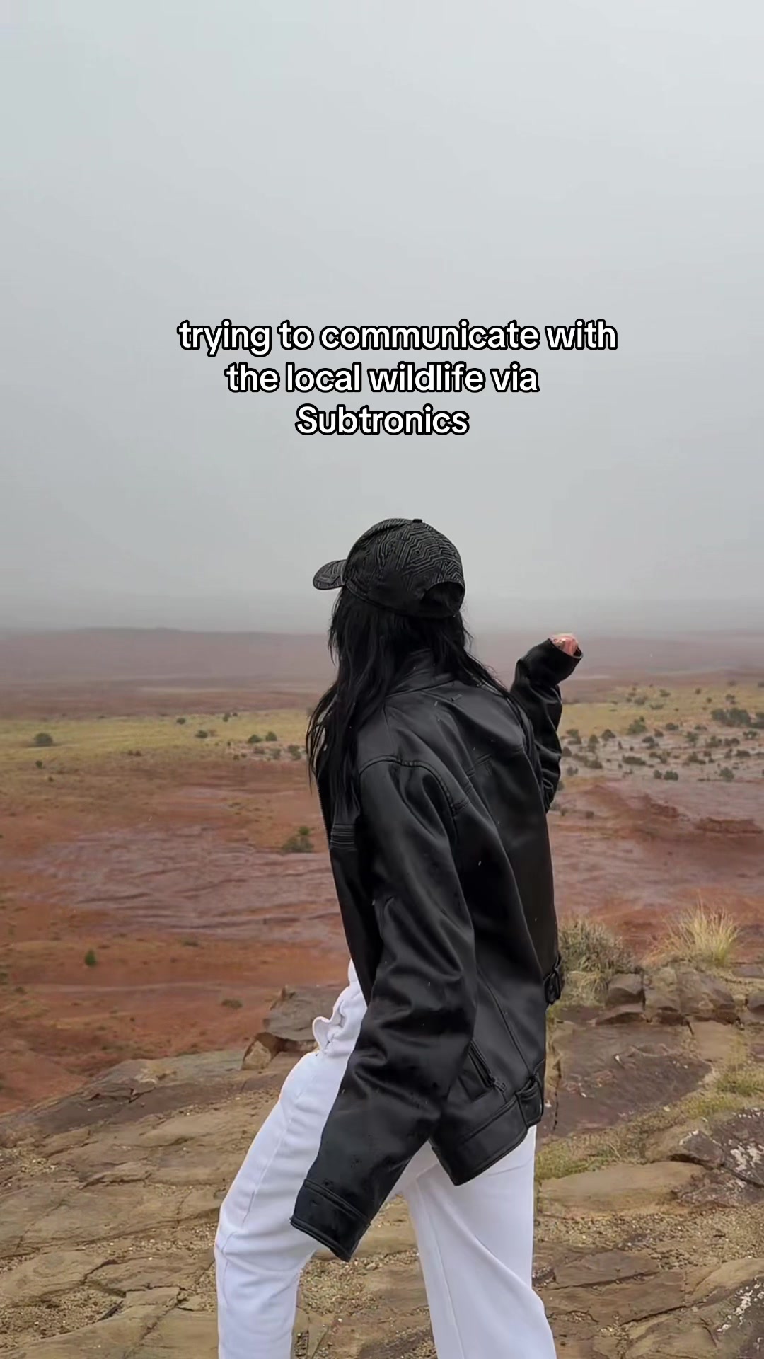 @svdnymusic