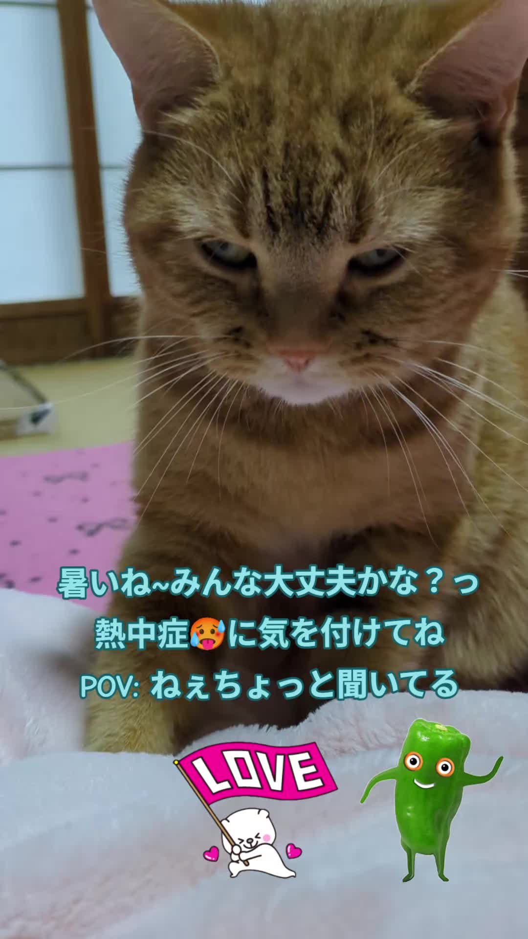 @JUNjun