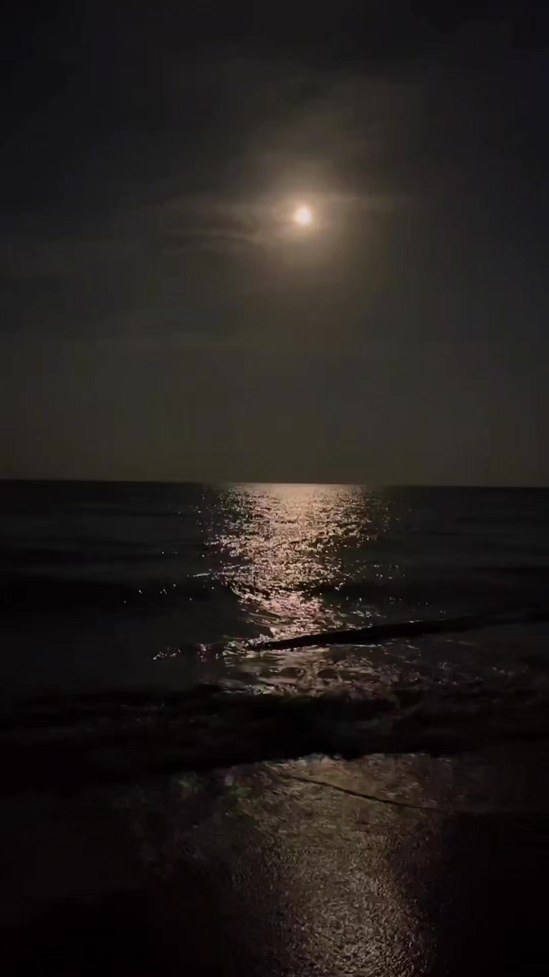 @🌍 Мир путешествий 🌎