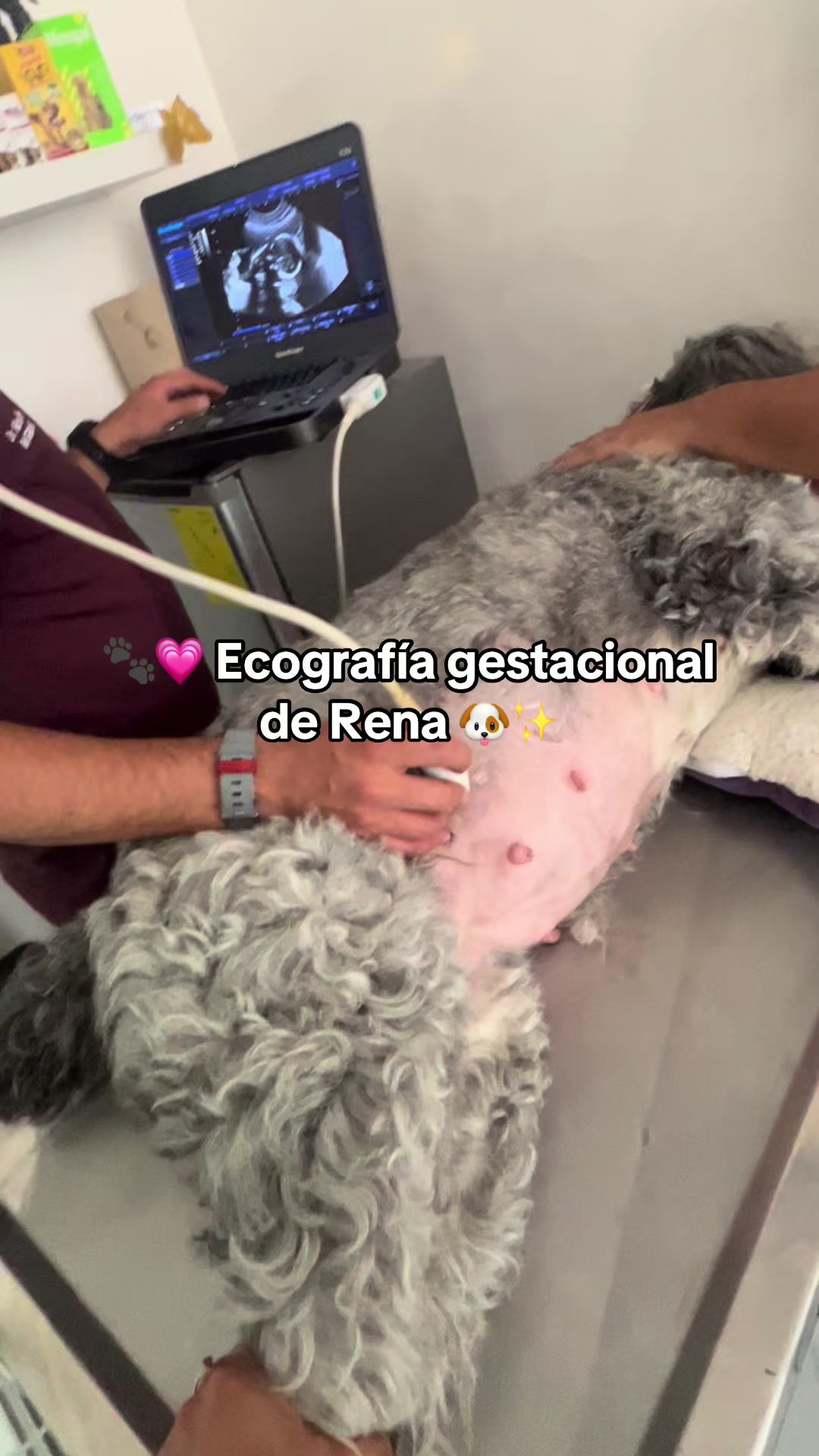 @Dra. Karen Carrera
