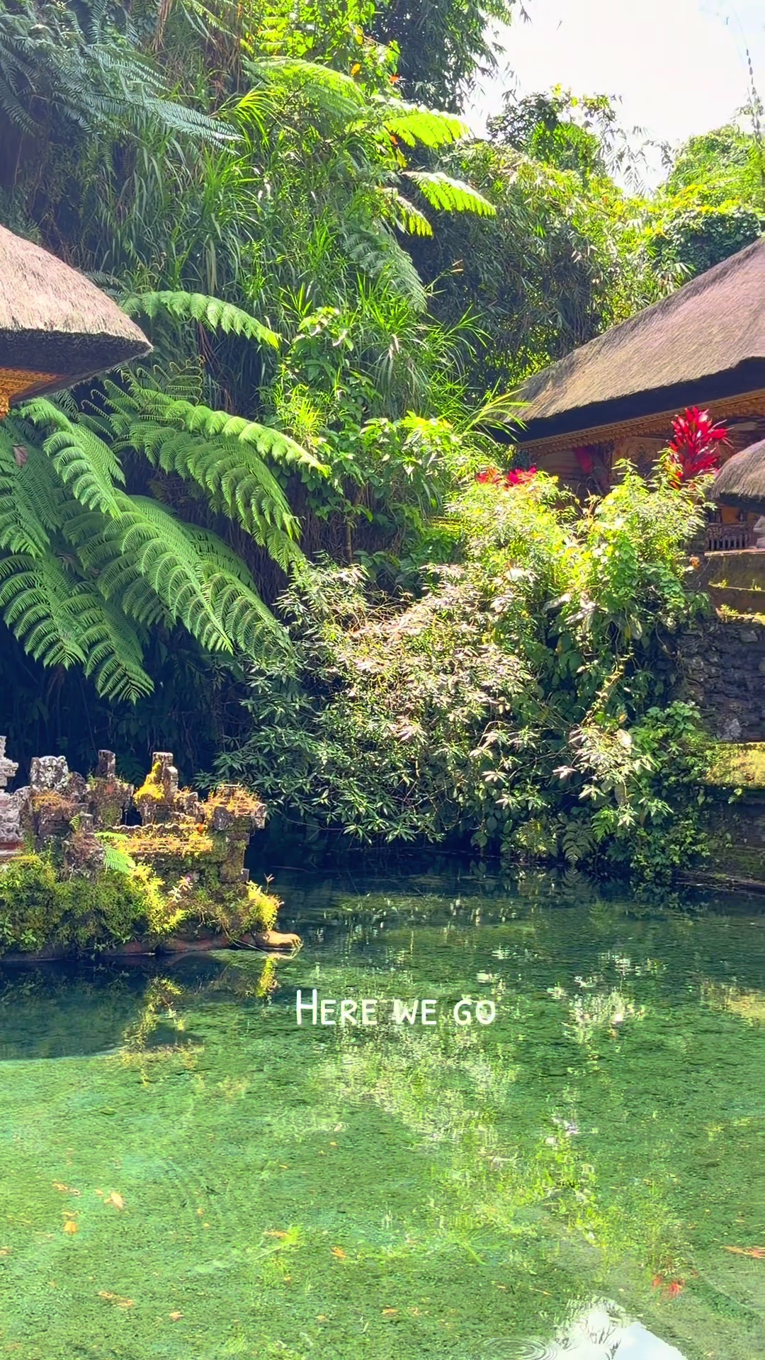 @Ubud Area Tours