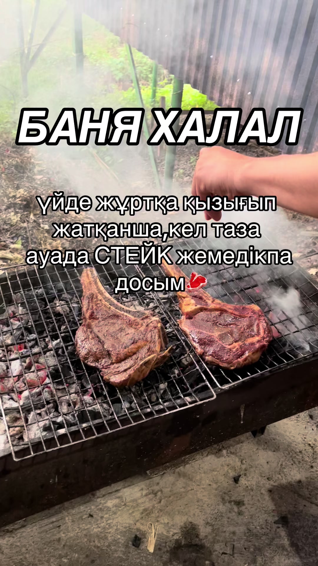 @Koksaiak.demalysaimagy