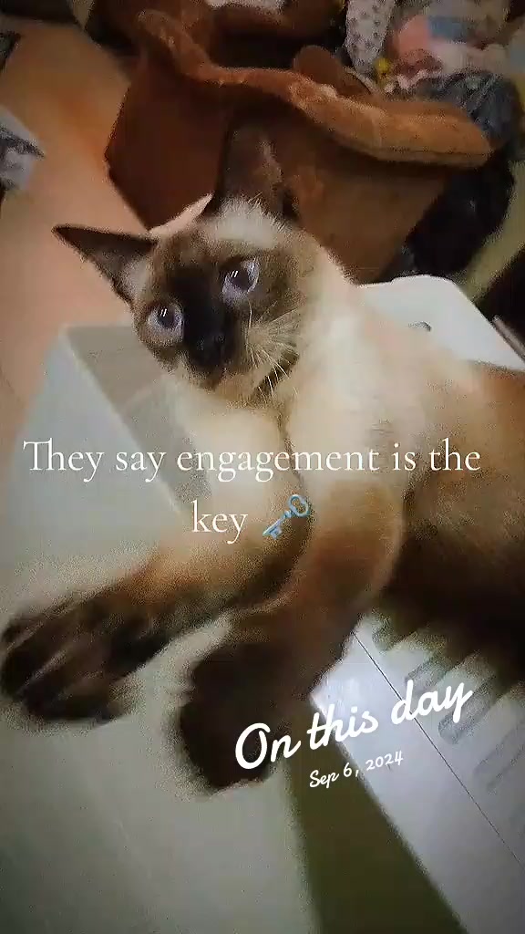 @Catscratchy