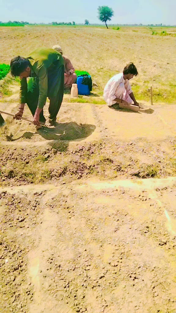 @Malhar Bheel