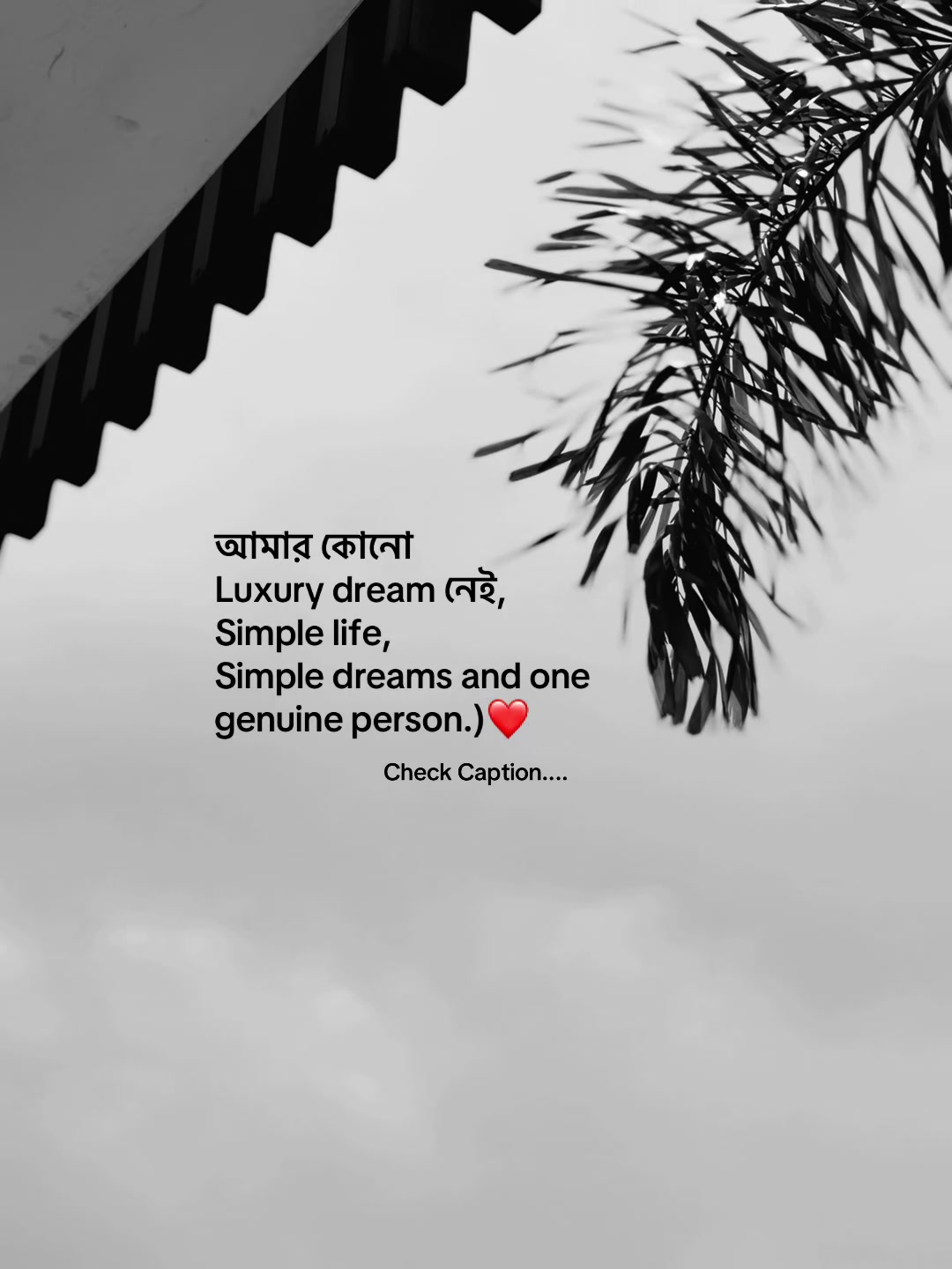 @आईएएन ┊🐥