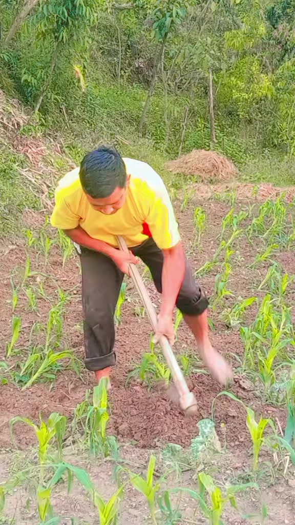 @शहरमा केही नभाकाे मान्छे