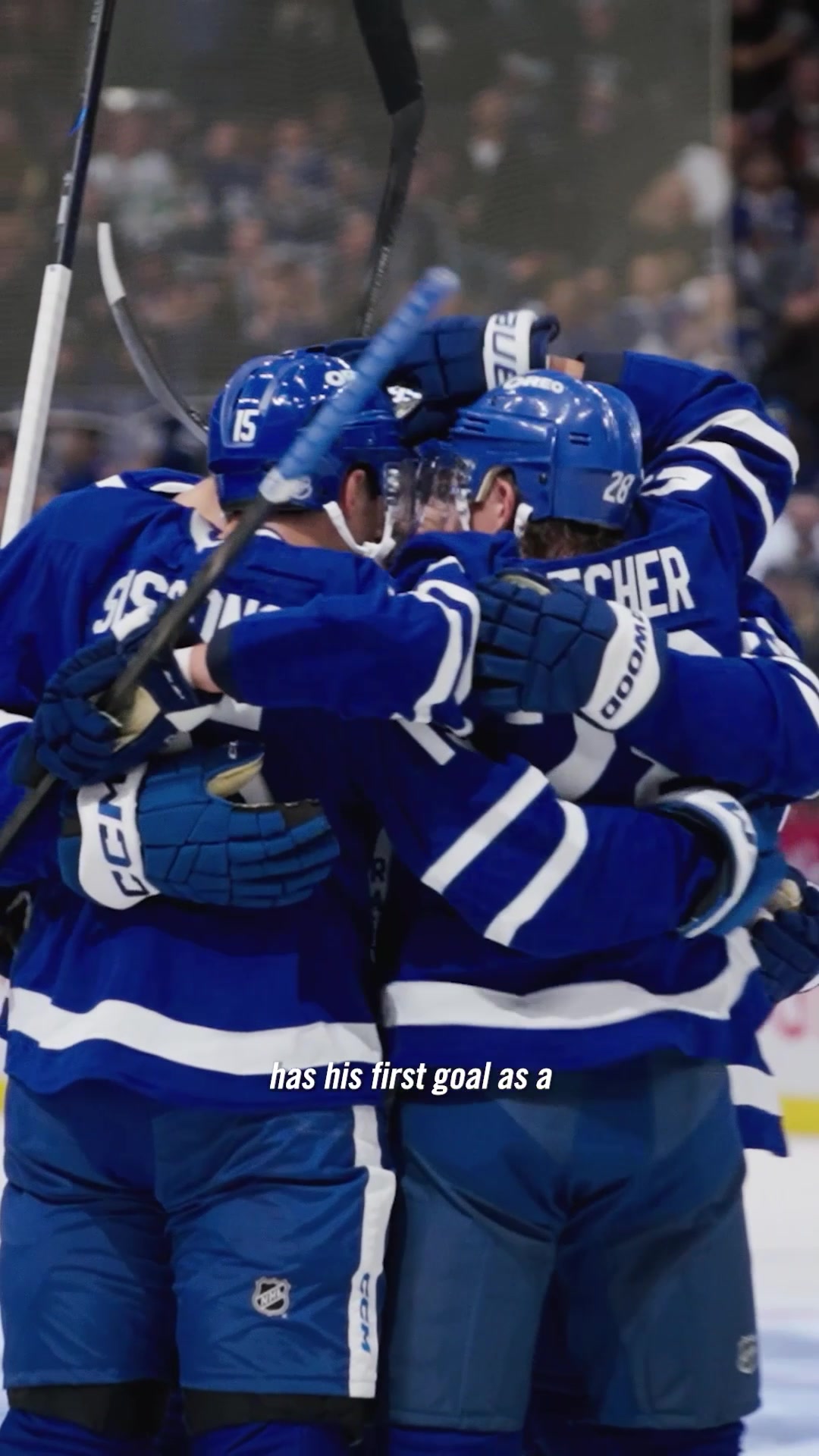 @Toronto Maple Leafs
