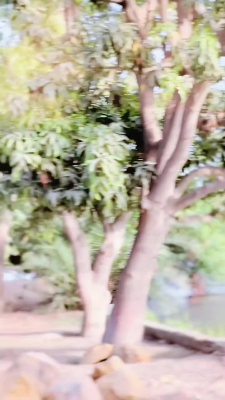 @*آفتاب حسن هاليپوٽو*