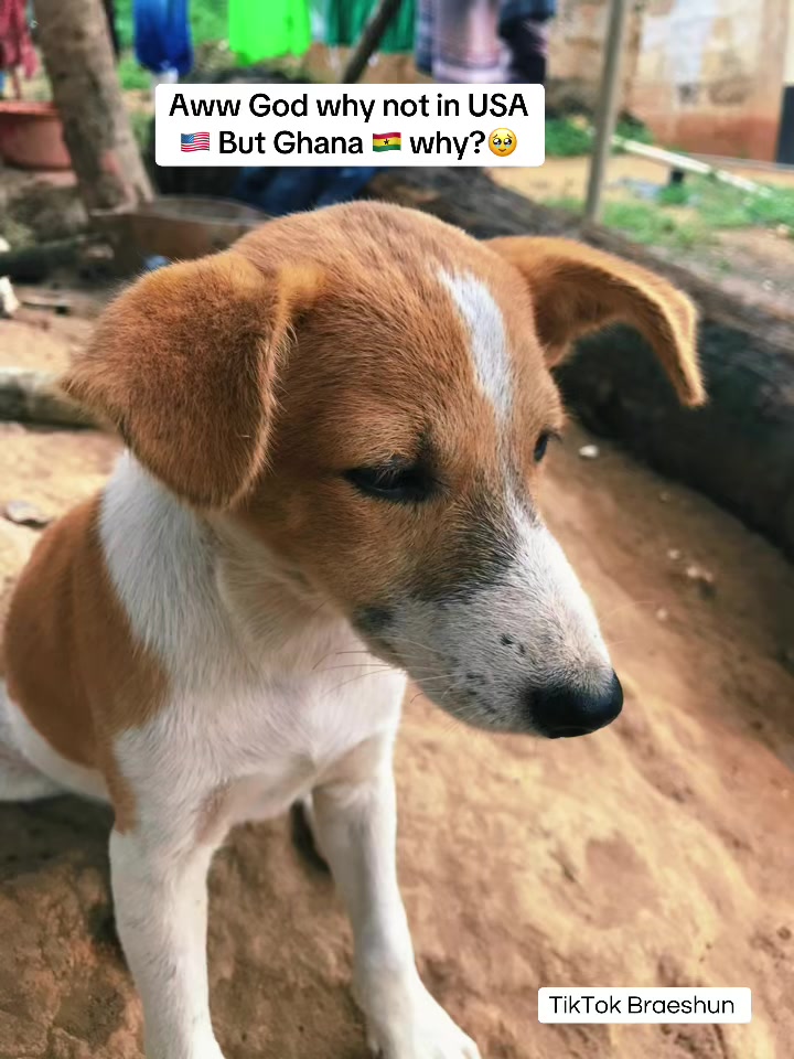 @Bra Eshun