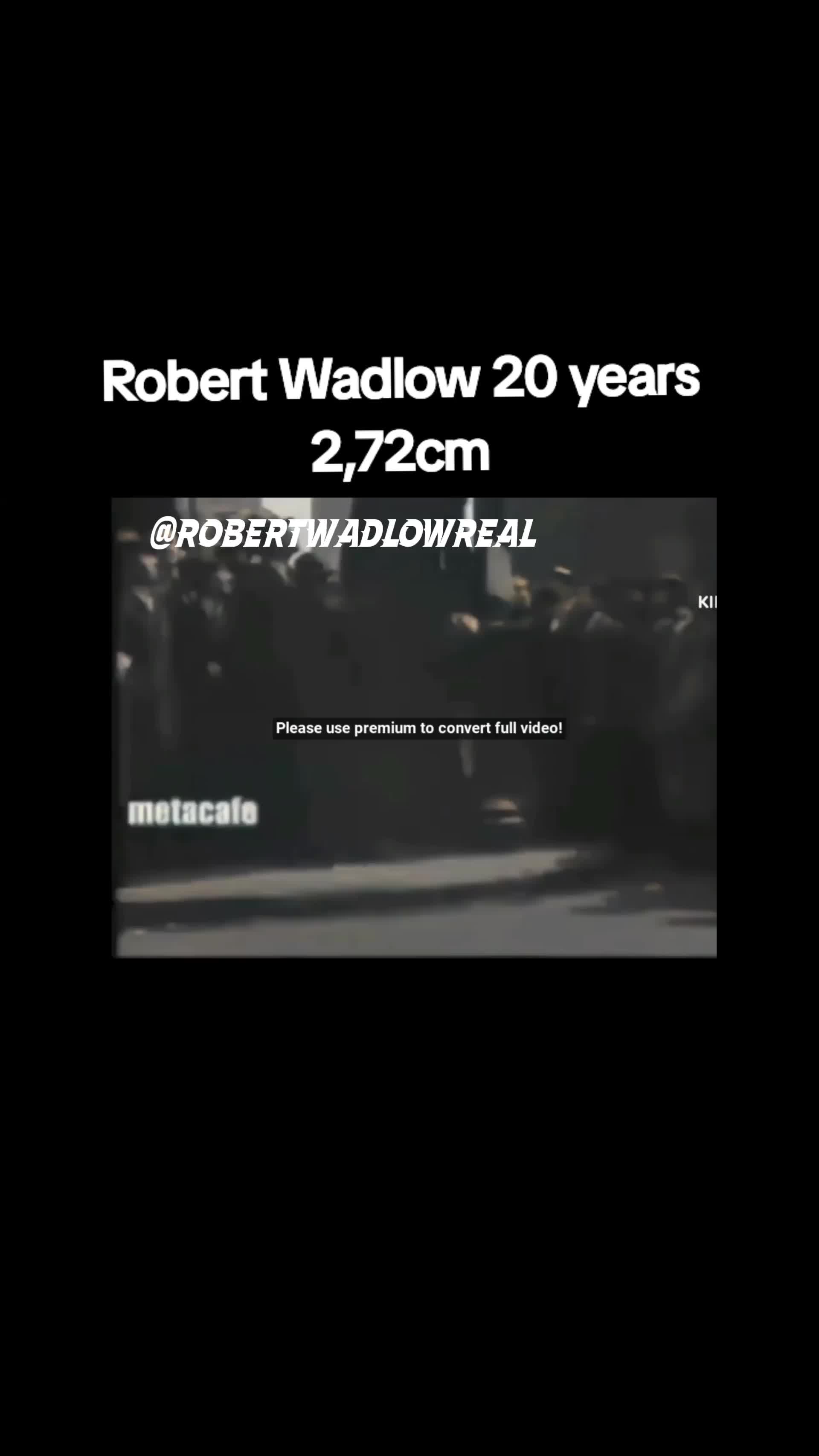 @Robert Wadlow