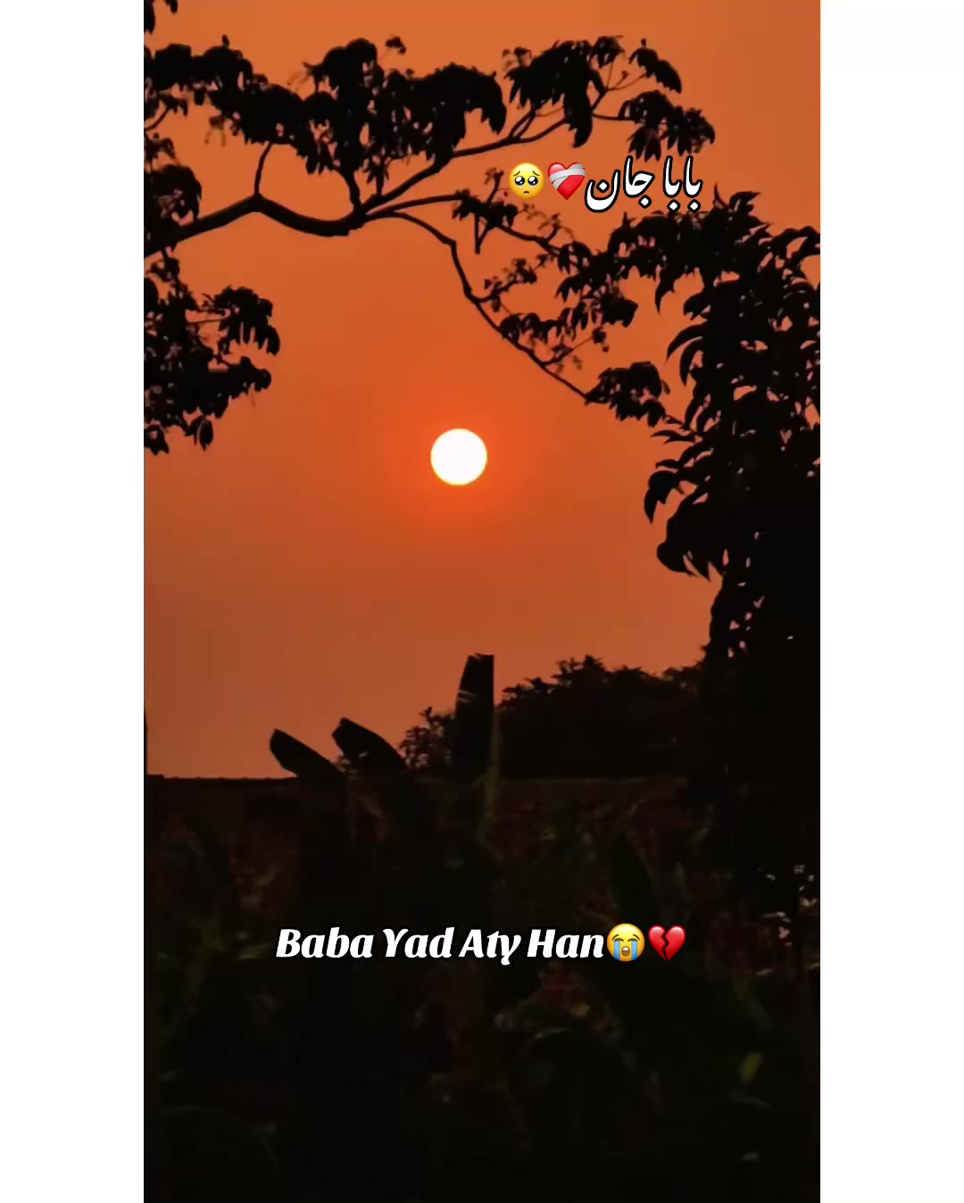 @⚜️𝐊𝐇𝐎𝐊𝐇𝐀𝐑❤️🩹