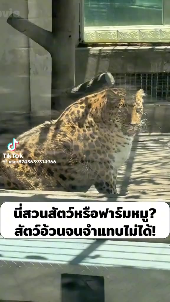 @ตุ้ม จันทาพูน