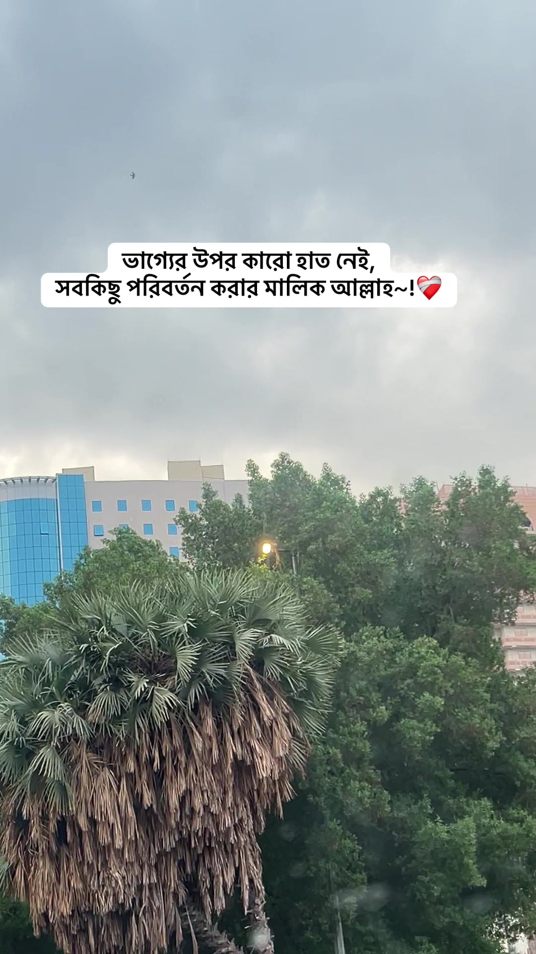 @B e a u t y of Ksa đ¸đĻ