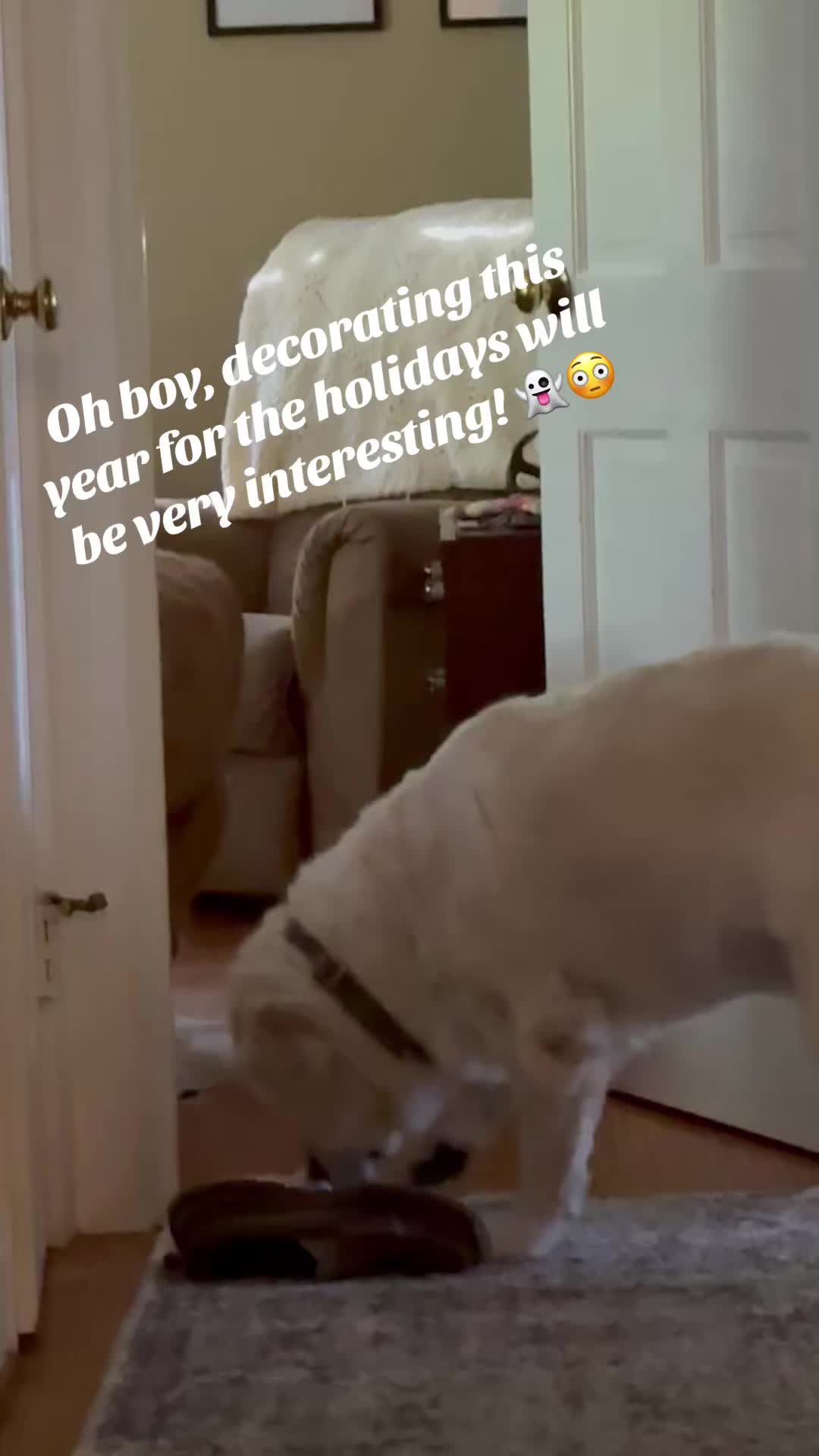 @lifewithduke2025